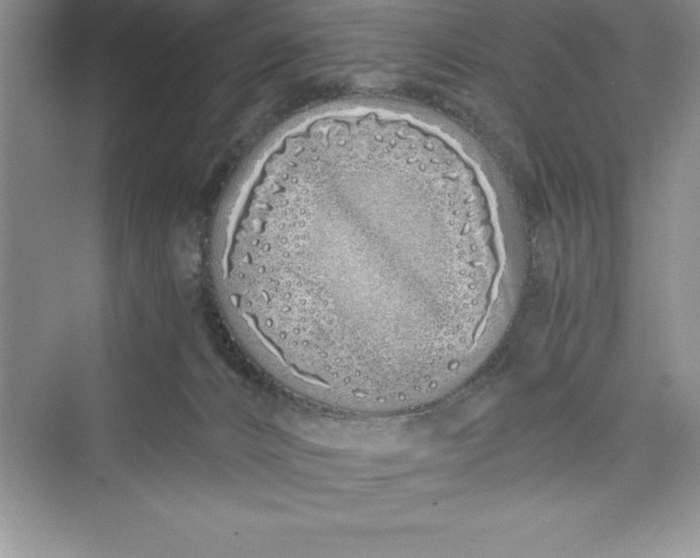 X0000075410032200609251056