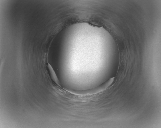 X0000075410033200609251056