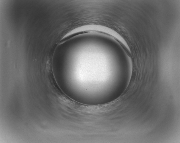 X0000075410037200609251056