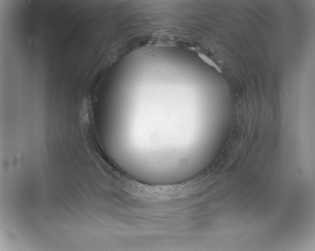 X0000075410038200609251056