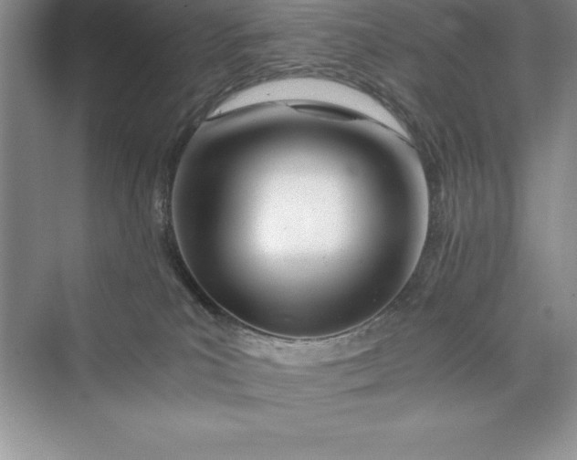 X0000075410039200609251056