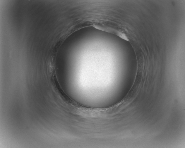 X0000075410040200609251056