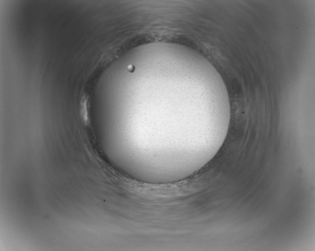 X0000075410042200609251056