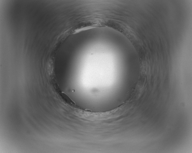 X0000075410043200609251056