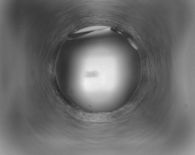 X0000075410044200609251056