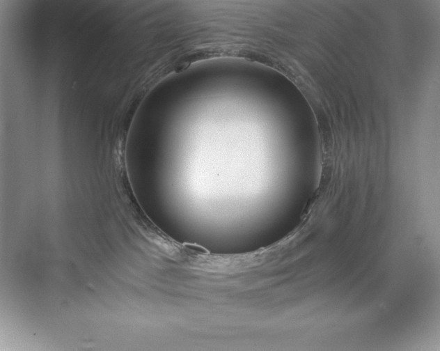 X0000075410045200609251056