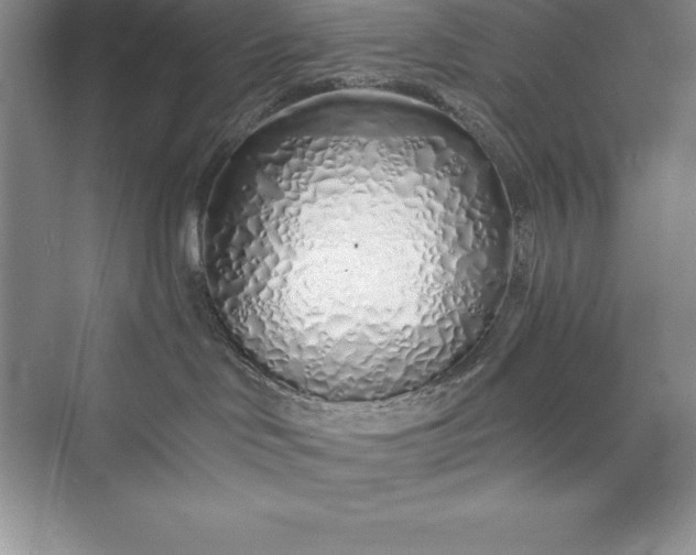 X0000075410046200609251056