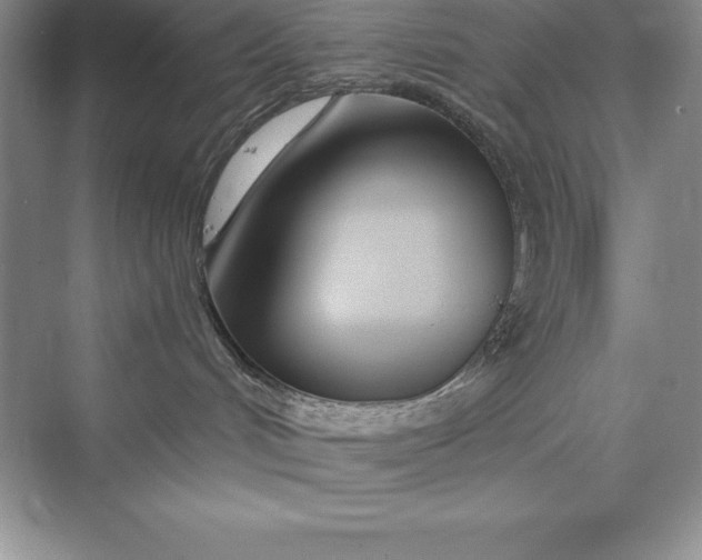 X0000075410048200609251056