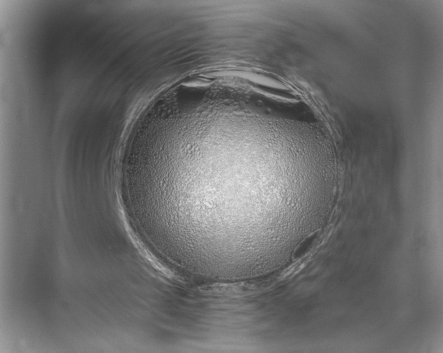 X0000075410049200609251055