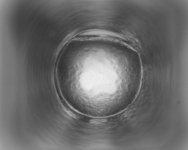 X0000075410051200609251055