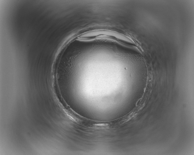 X0000075410053200609251055