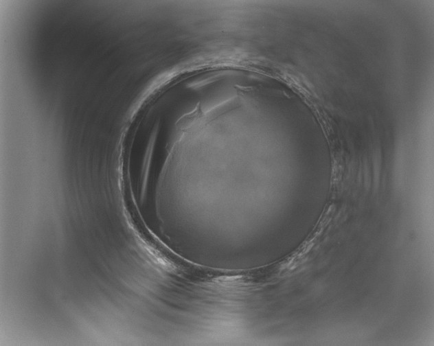 X0000075410054200609251055