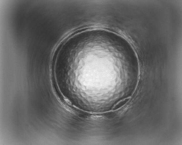 X0000075410055200609251055