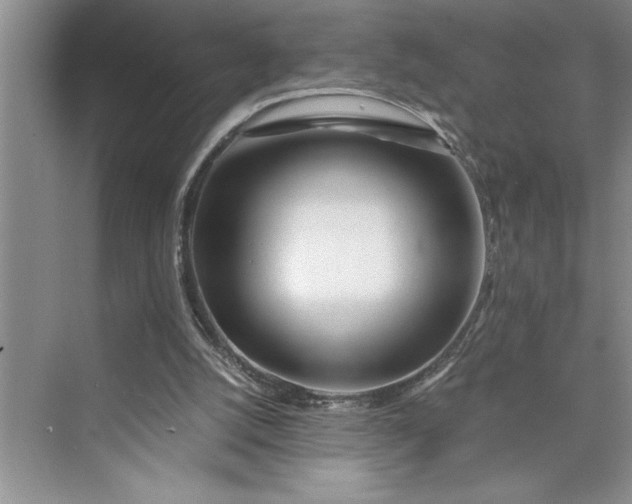 X0000075410056200609251055