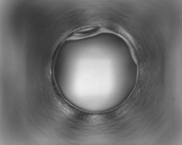 X0000075410059200609251055