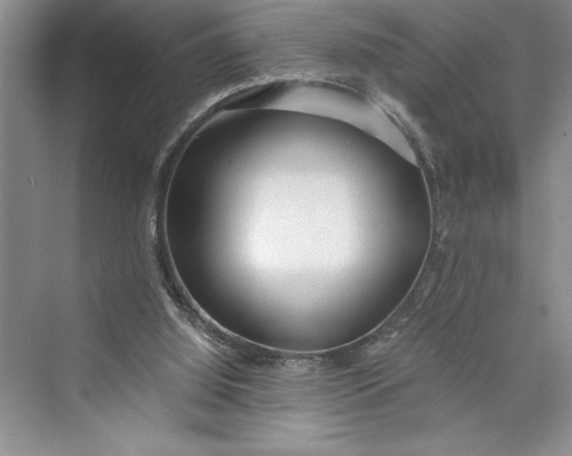 X0000075410060200609251055