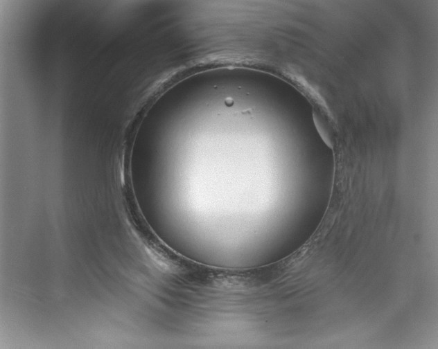 X0000075410062200609251055