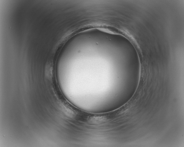 X0000075410063200609251055