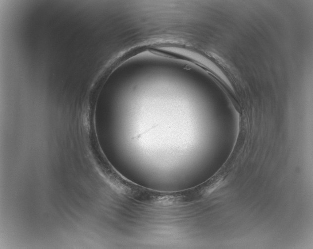 X0000075410064200609251055