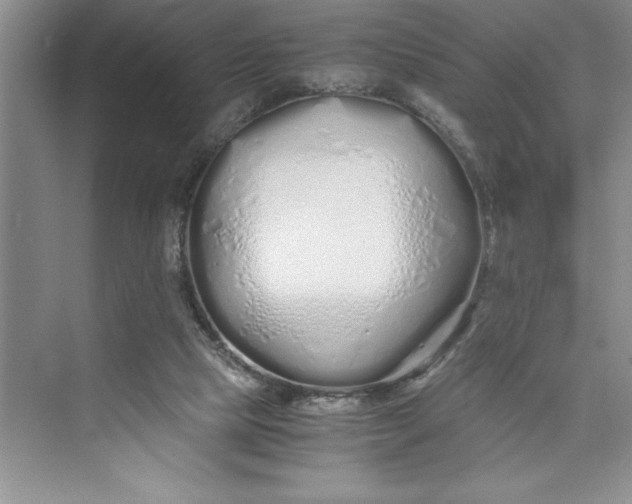 X0000075410065200609251055