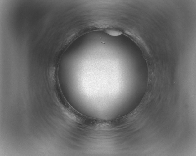 X0000075410066200609251055