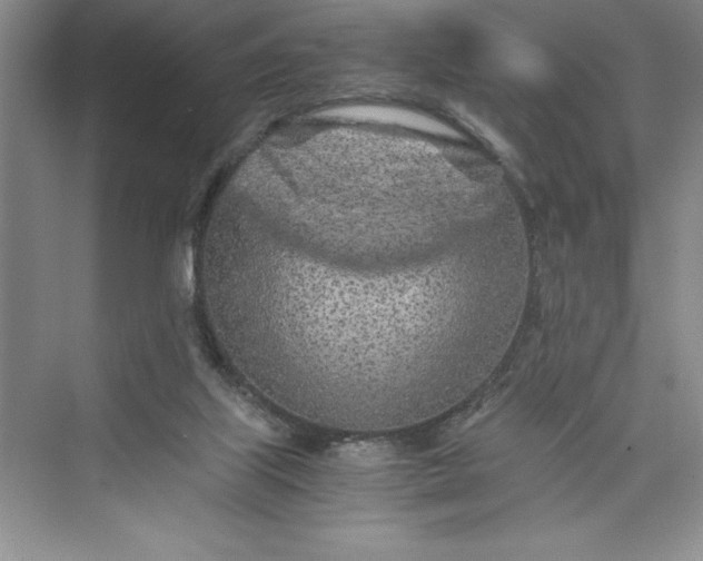 X0000075410067200609251055