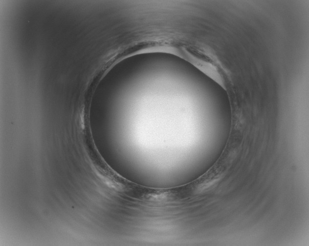 X0000075410068200609251055