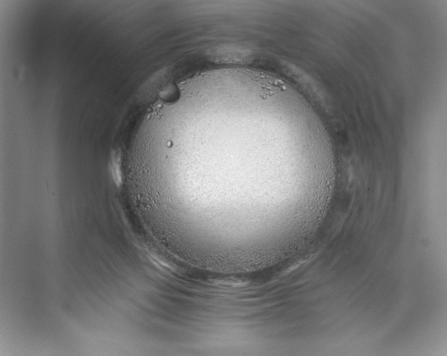 X0000075410069200609251055