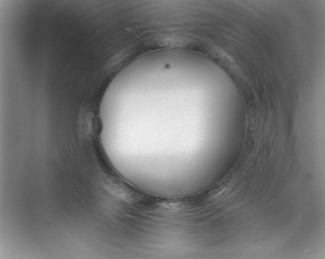 X0000075410071200609251055