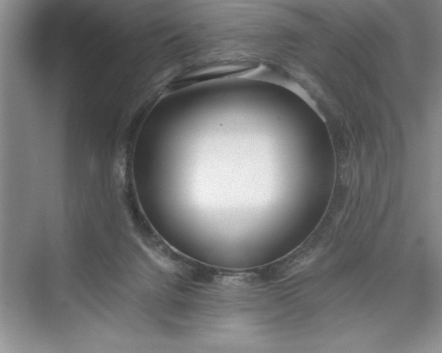 X0000075410072200609251055