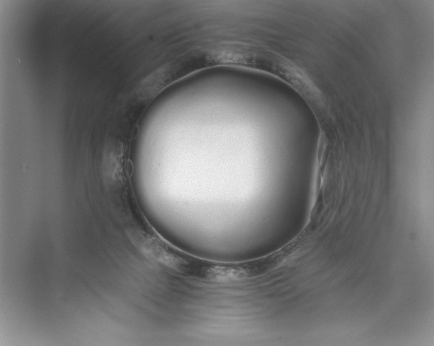 X0000075410073200609251055