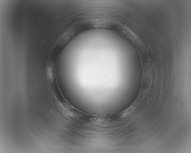 X0000075410074200609251055