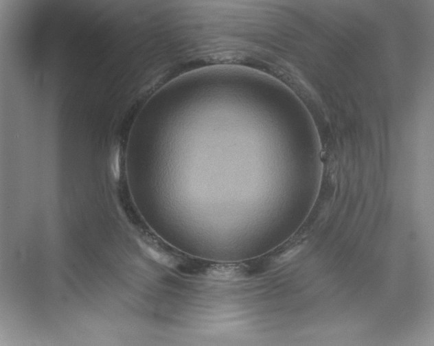 X0000075410076200609251055