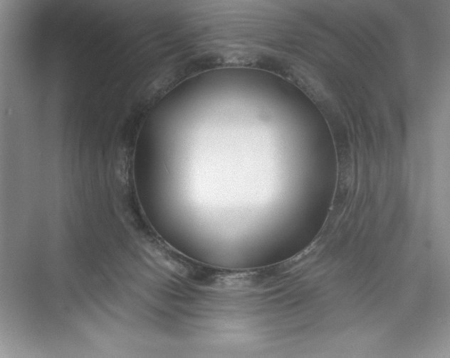 X0000075410078200609251055