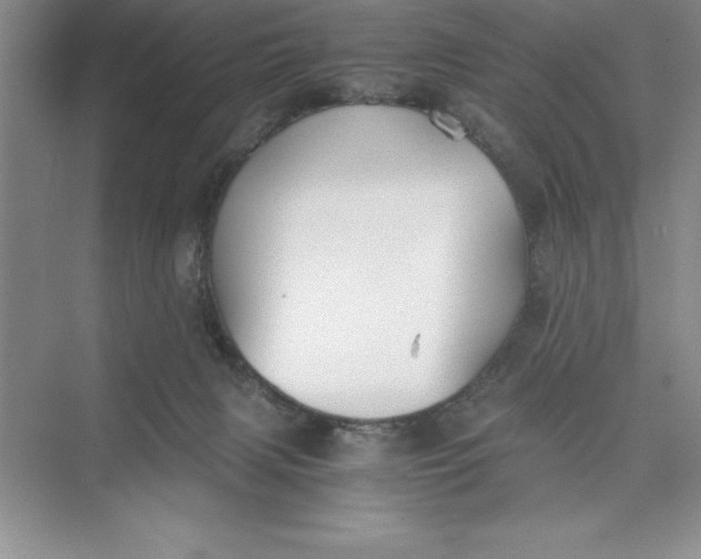 X0000075410079200609251055