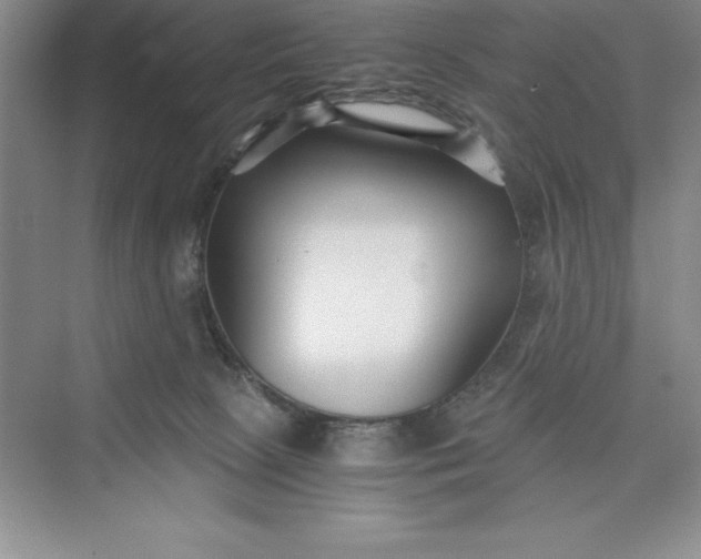 X0000075410081200609251055