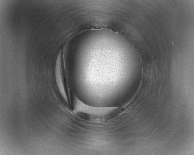 X0000075410084200609251055