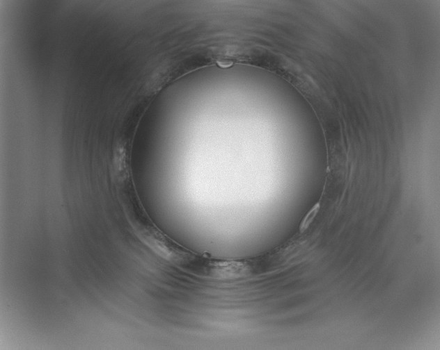 X0000075410087200609251055