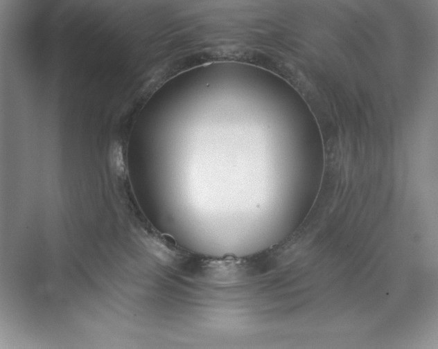 X0000075410089200609251055