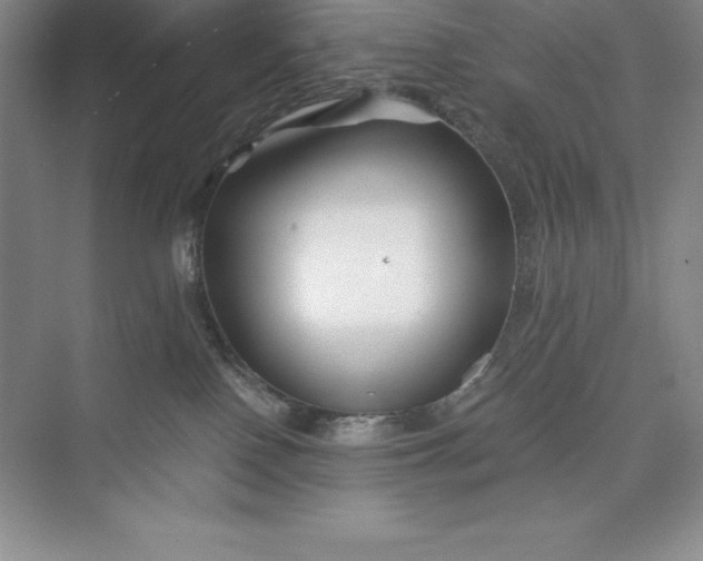 X0000075410090200609251055