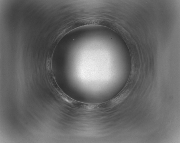 X0000075410096200609251056