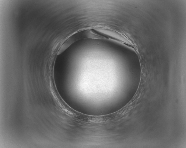 X0000075410097200609251055