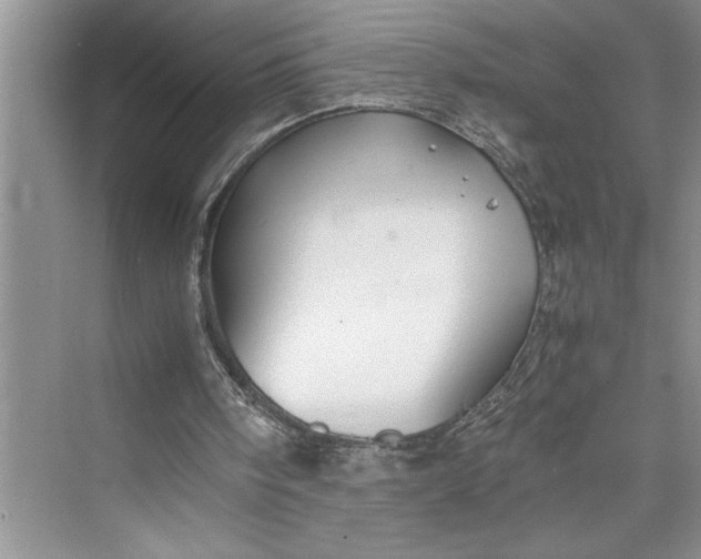 X0000075410098200609251055