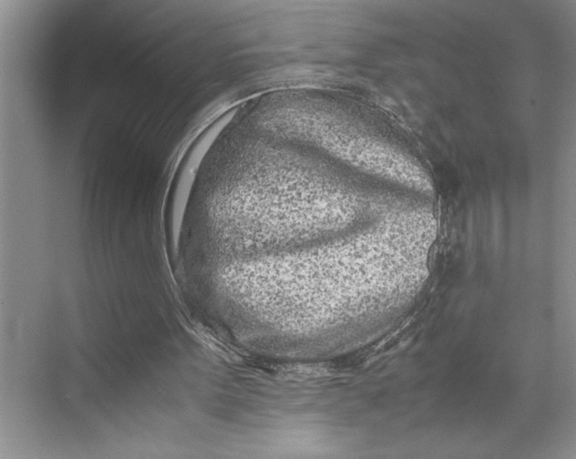 X0000075410099200609251055