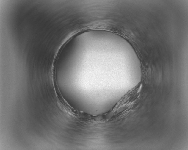 X0000075410100200609251055