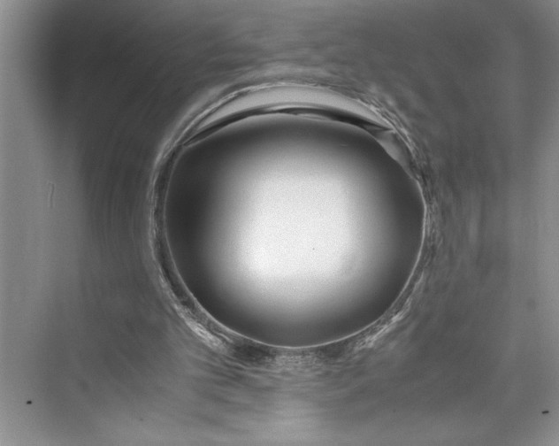 X0000075410101200609251055