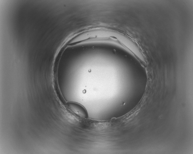 X0000075410102200609251055