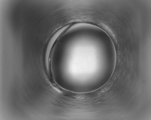 X0000075410105200609251055