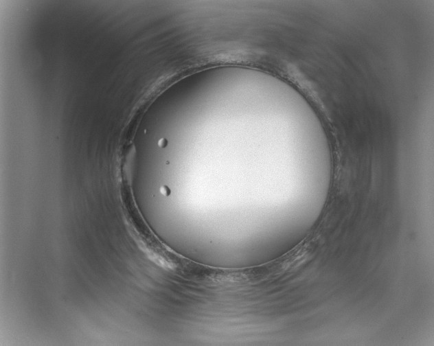 X0000075410106200609251055