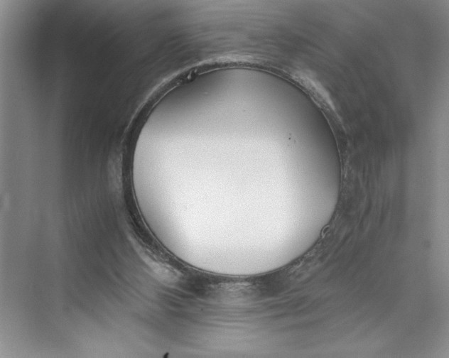 X0000075410108200609251055